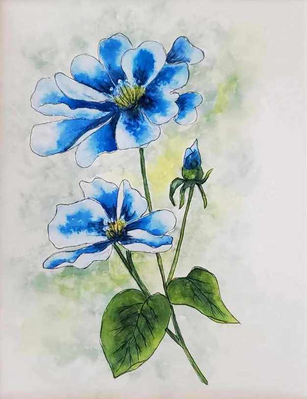 blue poppies