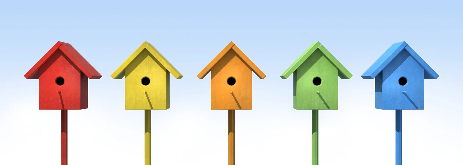 Red Cedar Review Americana