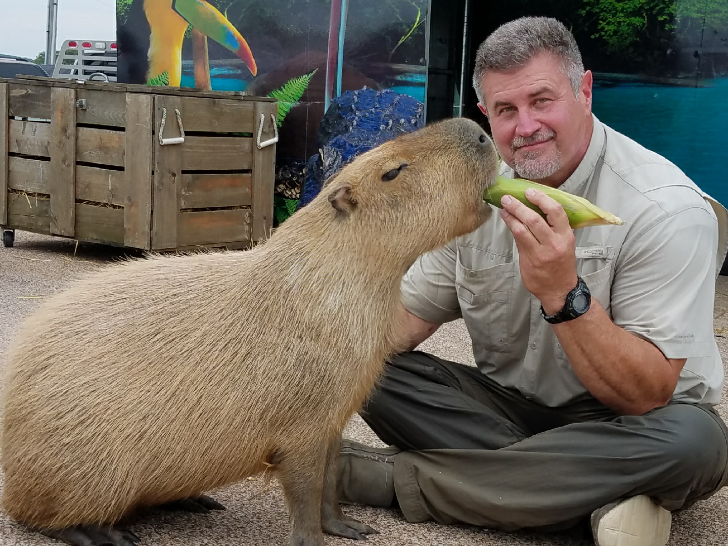 Capybara with Kemmerer