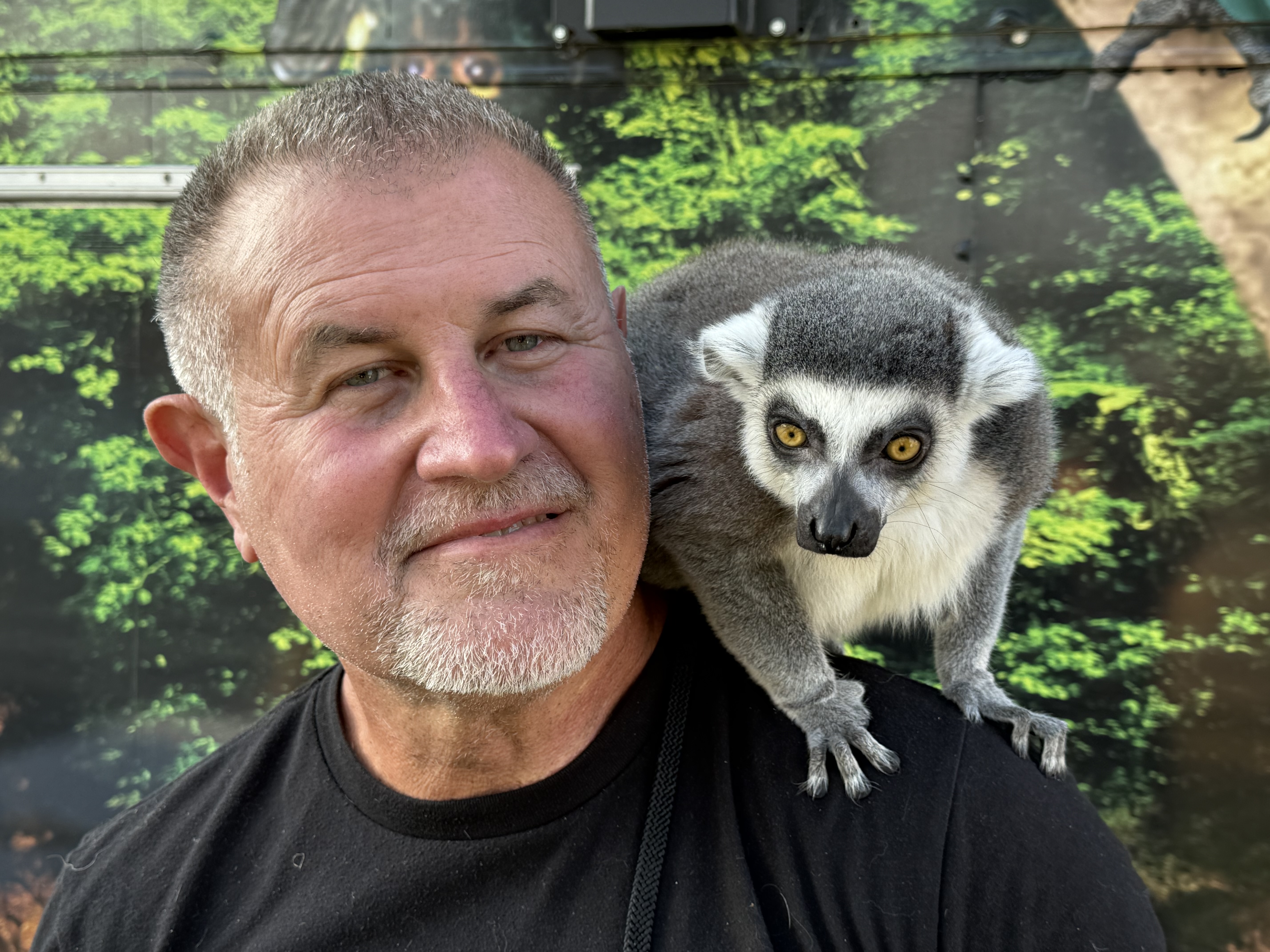 Lemur with Kemmerer