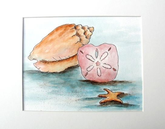 sea shells image