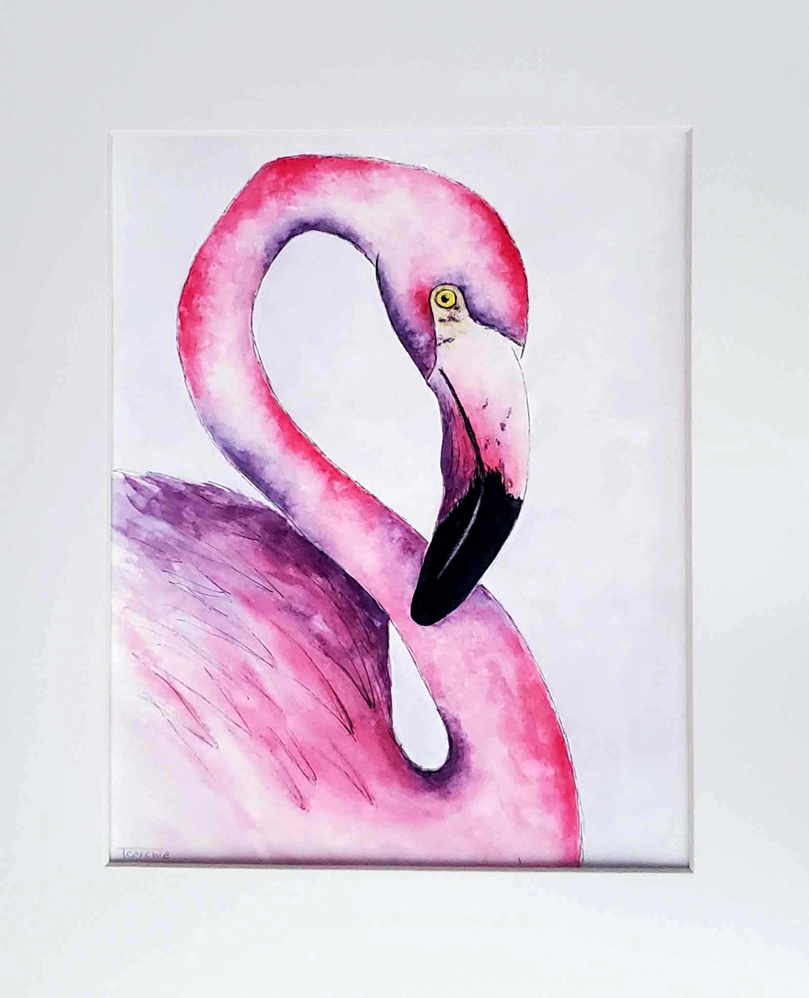 Flamingo Image