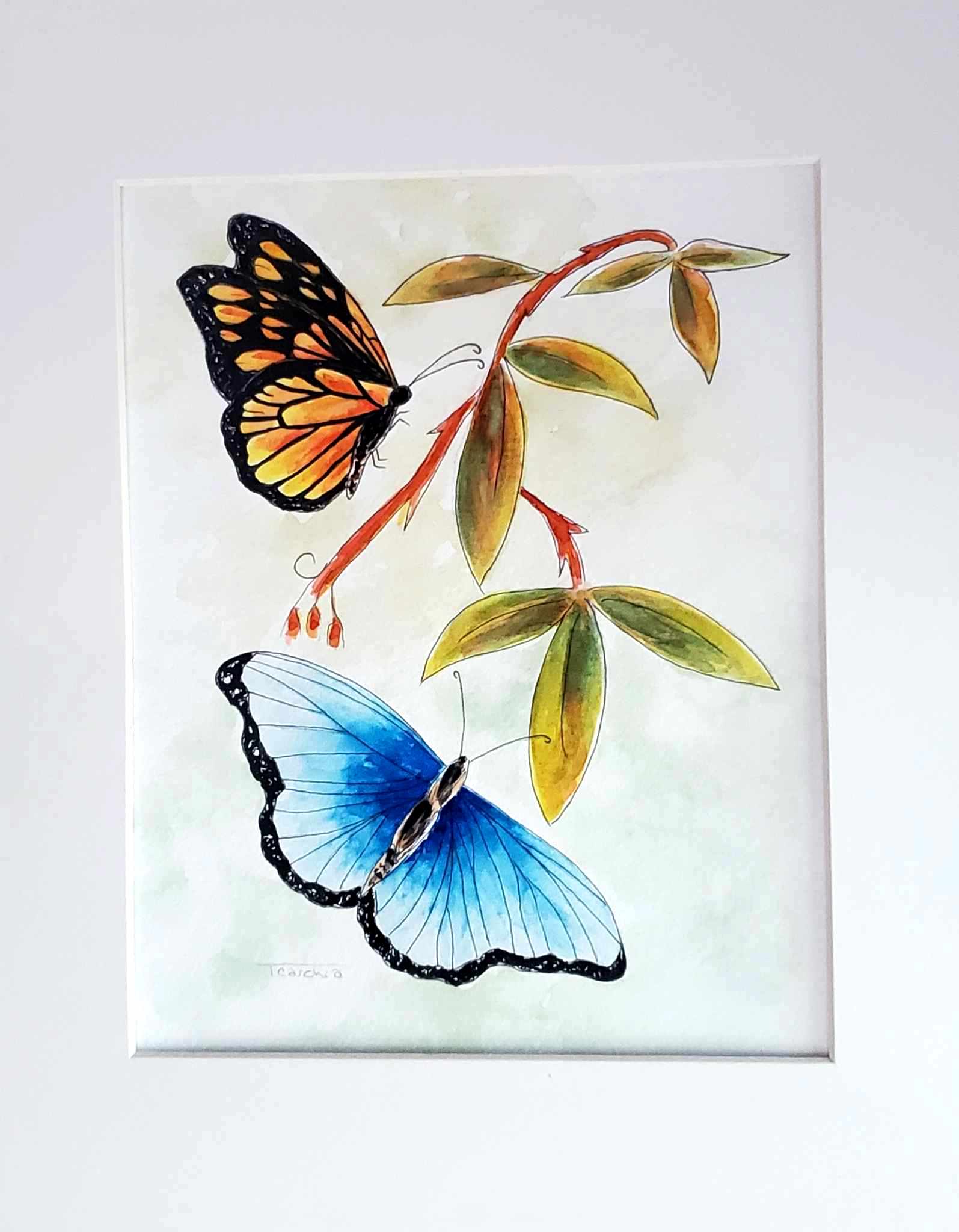 Butterflies image