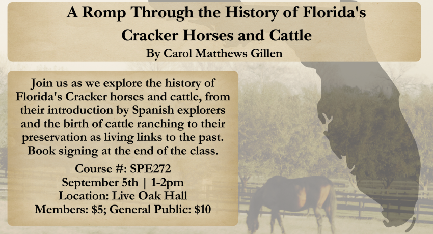 Florida Cracker Horses & Cattle Promo Image