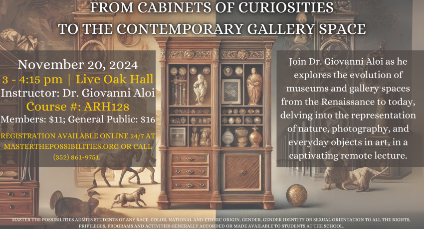 From Cabinets of Curiosities to the Contemporary Gallery Space Promo Image