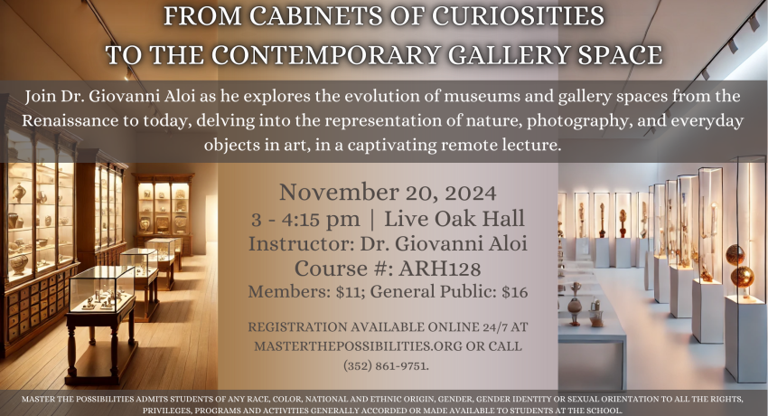 From Cabinets of Curiosities to the Contemporary Gallery Space Promo Image