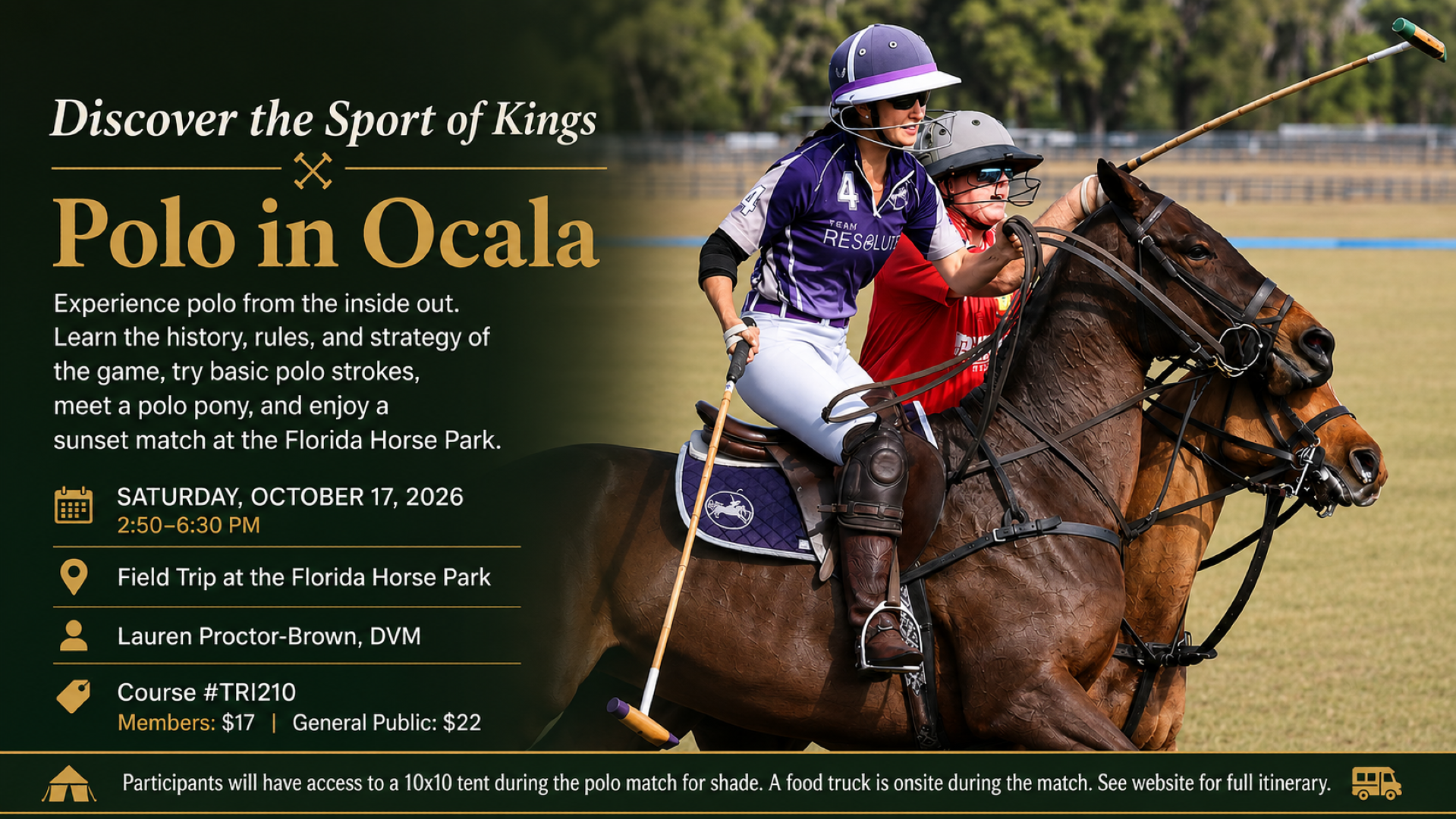 Discover the Sport of Kings: Polo In Ocala Promo Image