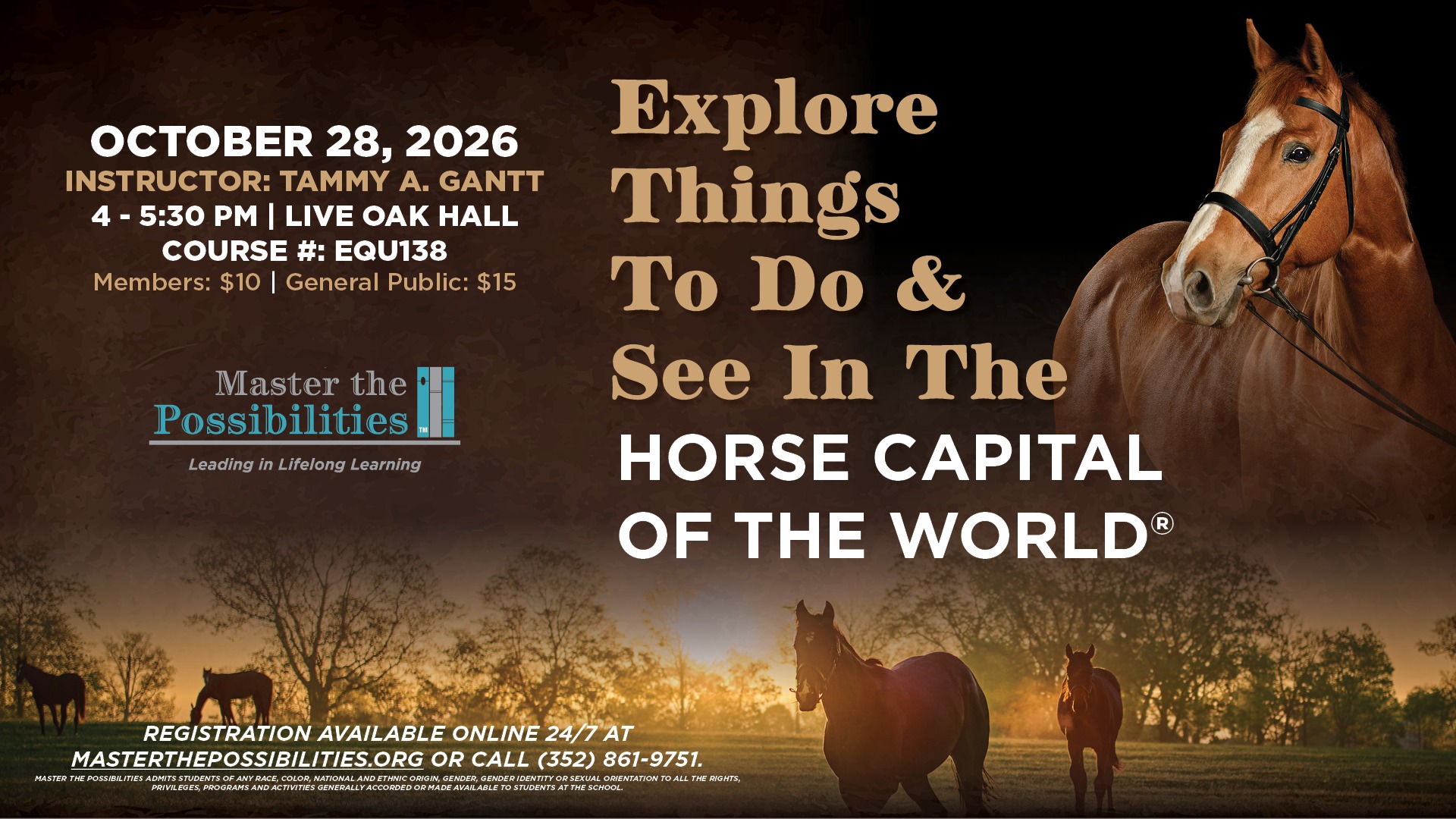 Explore Things to Do & See in Horse Capital of the World Promo Image